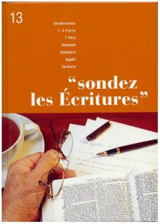 33511-deuteronome-1-2-pierre-1-rois-habakuk-sophonie-aggee-zacharie-sondez-les-ecritures-volume-13_320 Sondez les Écritures, Volume 13