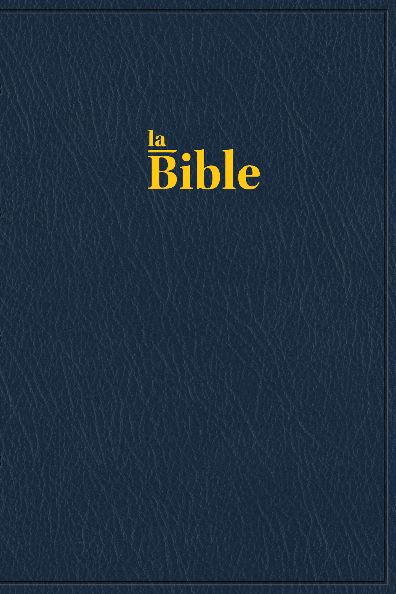 Bible Darby Grand Format – Image 4