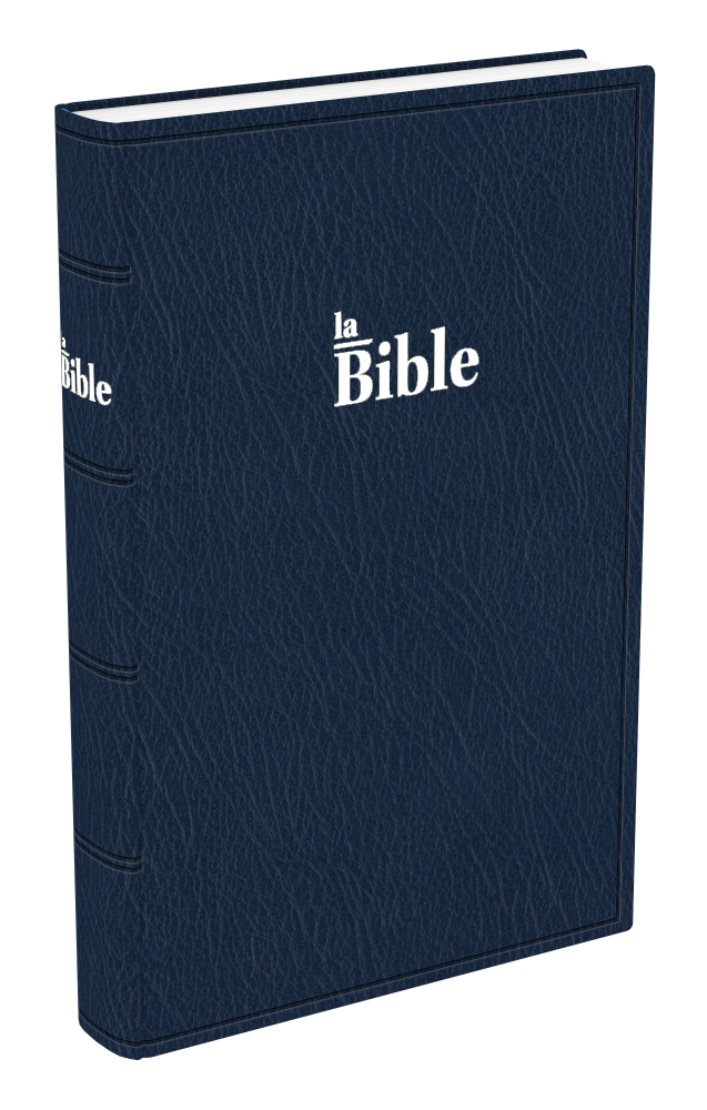 Bible Darby Grand Format – Image 2