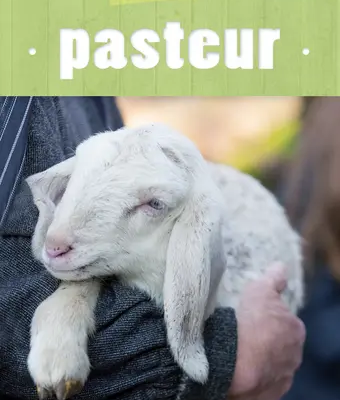 Petit manuel du pasteur