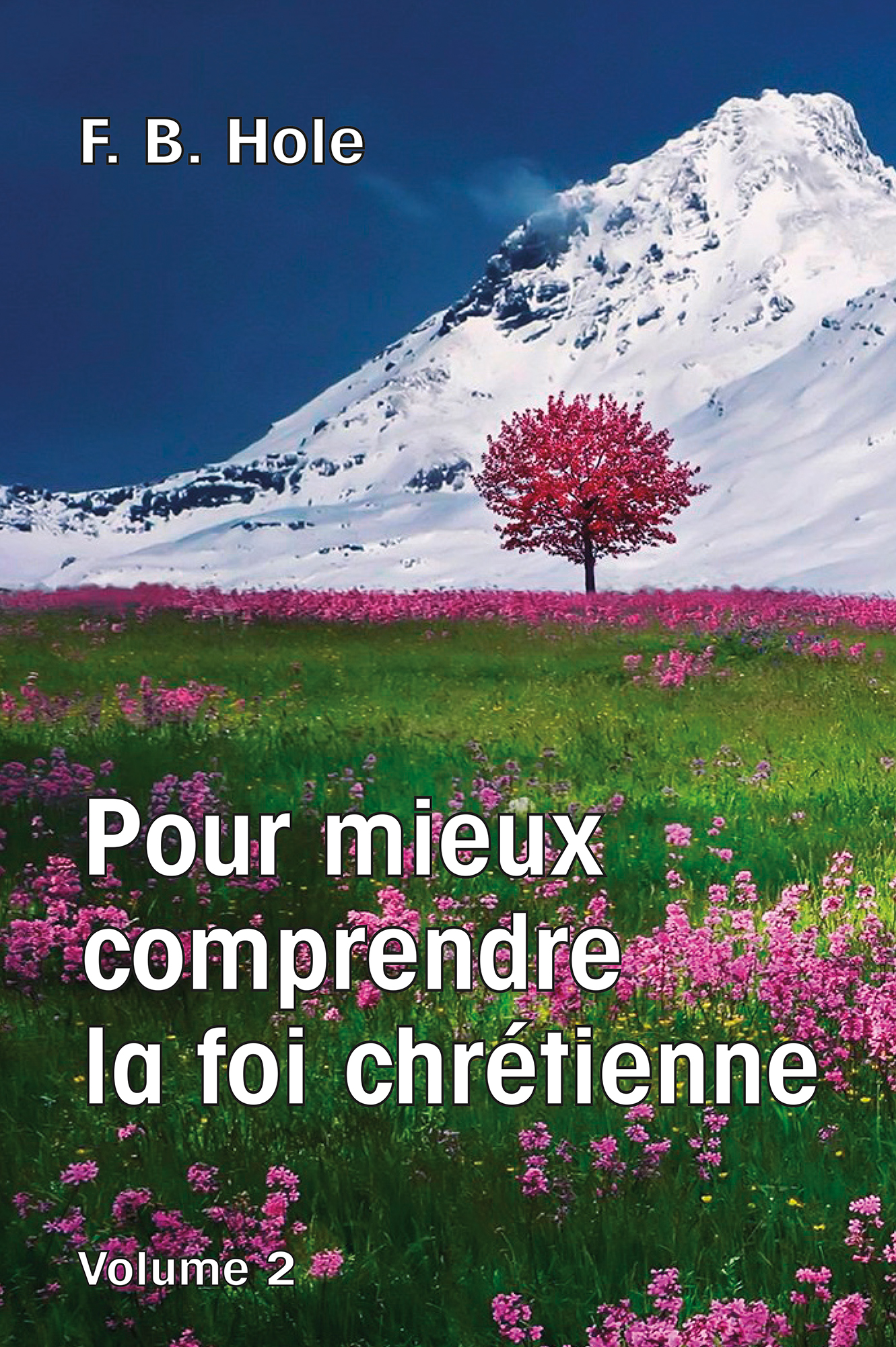 Pour mieux comprendre la foi chrétienne (Volume 2)