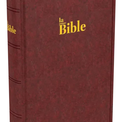 Bible Darby (Petit Marron)