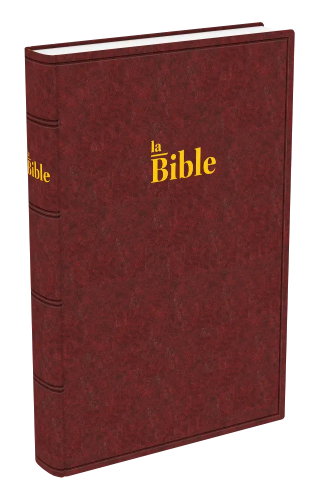 Bible Darby Grand Format