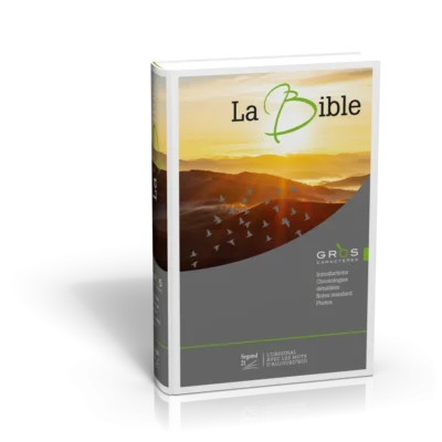 Bible S21 Gros Caractères Illustrée