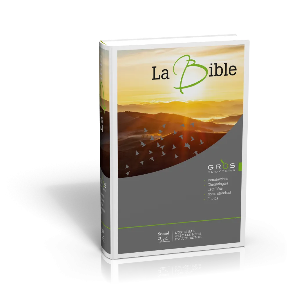 Bible S21 Gros Caractères Illustrée